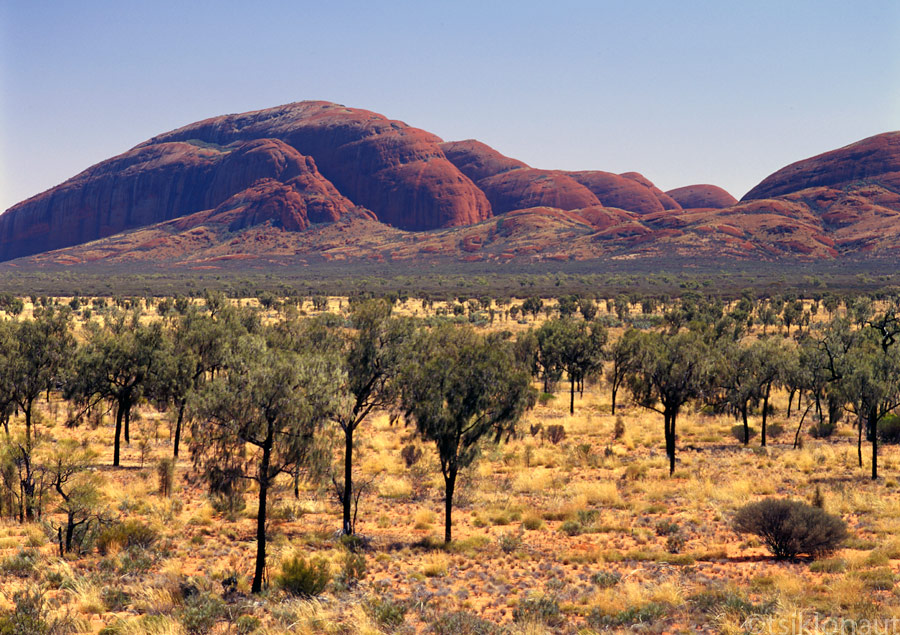 2009_11_20_slaid_001_2.jpg