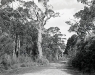 Austraalia