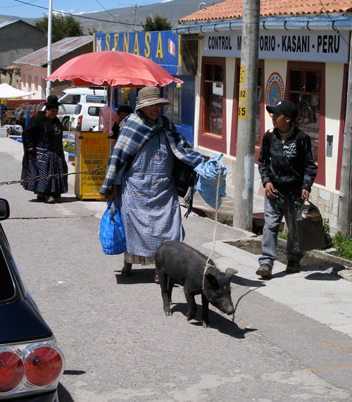 Tädi seaga nööri otsas Perusst Boliivasse piiri ületamas