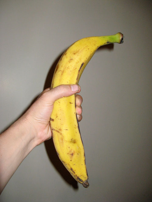 Suurim banaan - võrdlusena seda hoiab minu suuremapoole kämmal