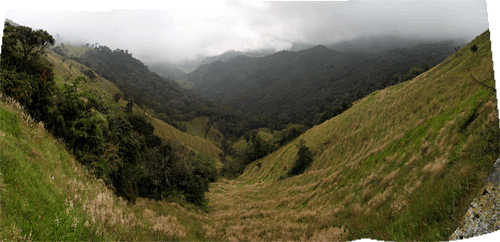 Kolumbia tüüpiline maastik Andides