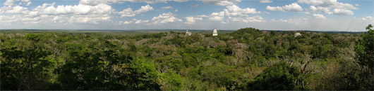 Tikal (4) - džungli kohalt nähtuna - üksikud tipud ulatuvad üle rohelisuse
