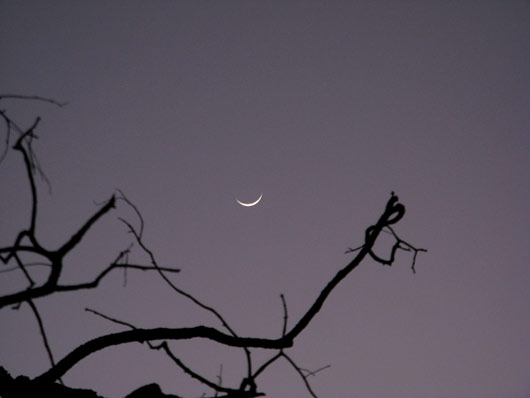 Mošeetipu moodi kuu Austraalia taevas