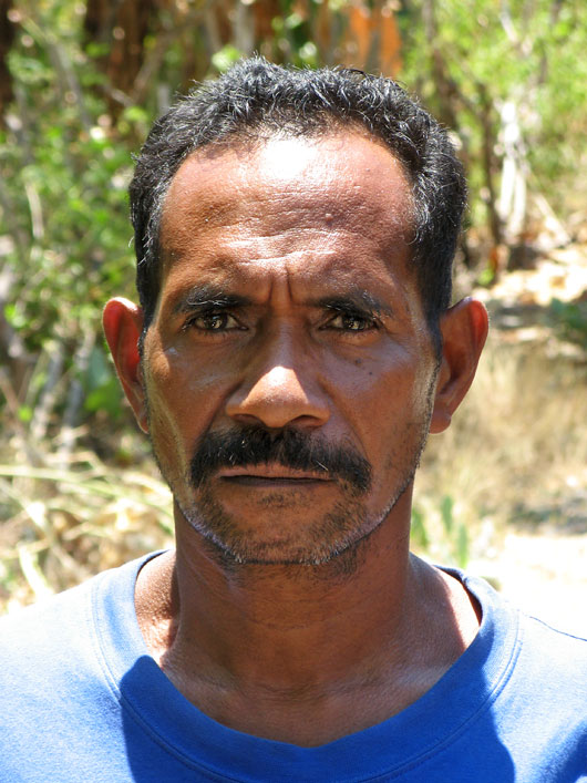 Timori mees