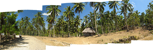 Timori maastikud (3) - uhked palmid mägise küla kohal