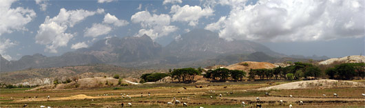 Timori maastikud (2)