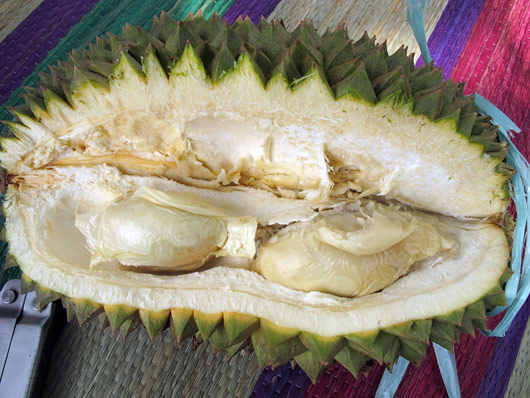Durian seest - söödav on vaid see seemnete peal olev kiht.