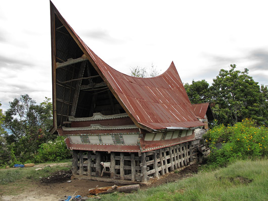 Traditsiooniline Bataki elumaja - all kasvatatakse loomi