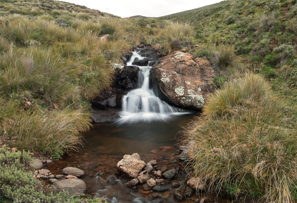 Lesotho-7s.jpg